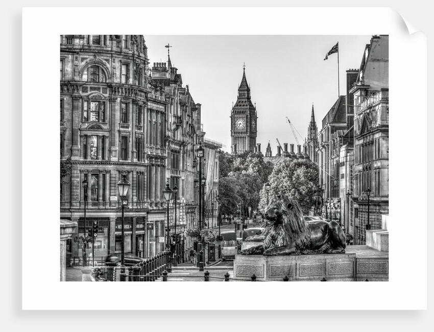 Trafalgar Square, London, UK by Assaf Frank